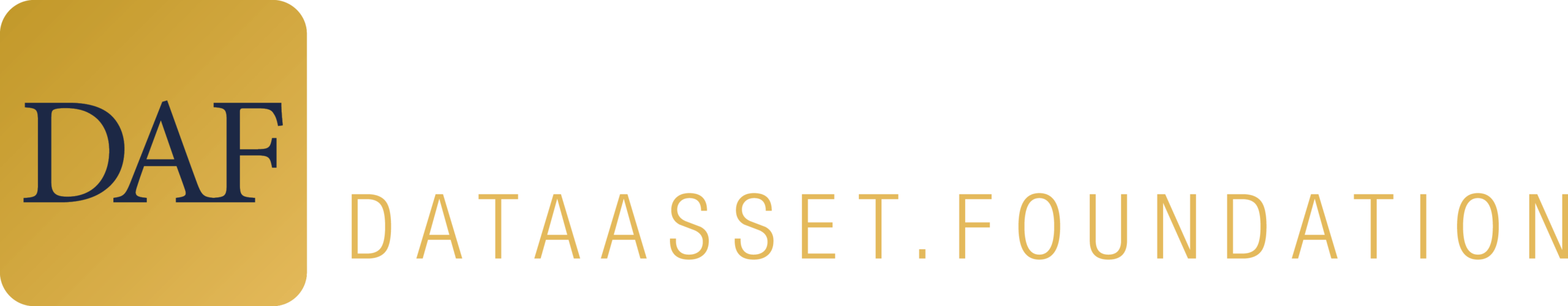 Data Asset Foundations Logo