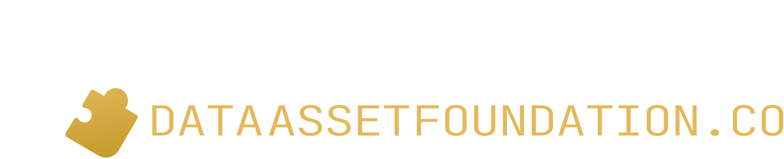 Data Asset Foundation
